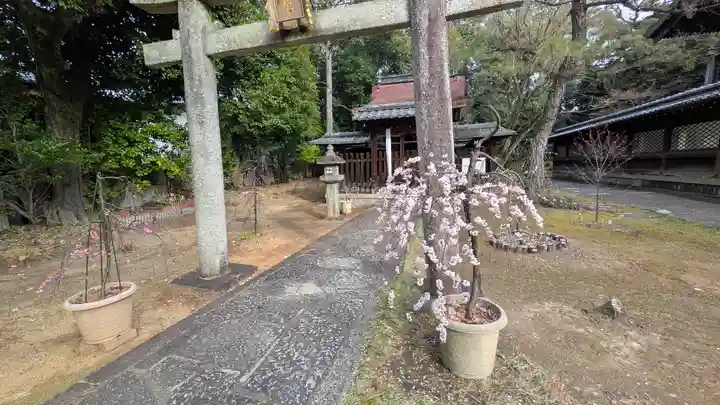 新日吉神宮(京都府)