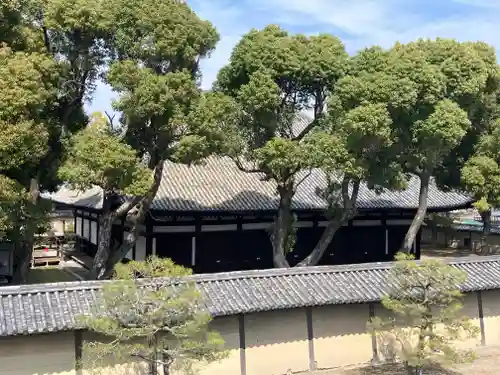東寺（教王護国寺）(京都府)