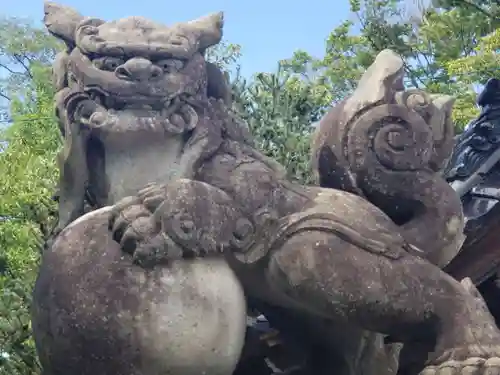 向本折白山神社の狛犬