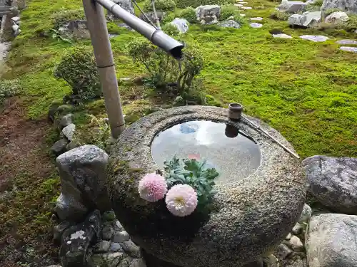 金剛寺(大阪府)