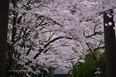 冨士御室浅間神社(山梨県)