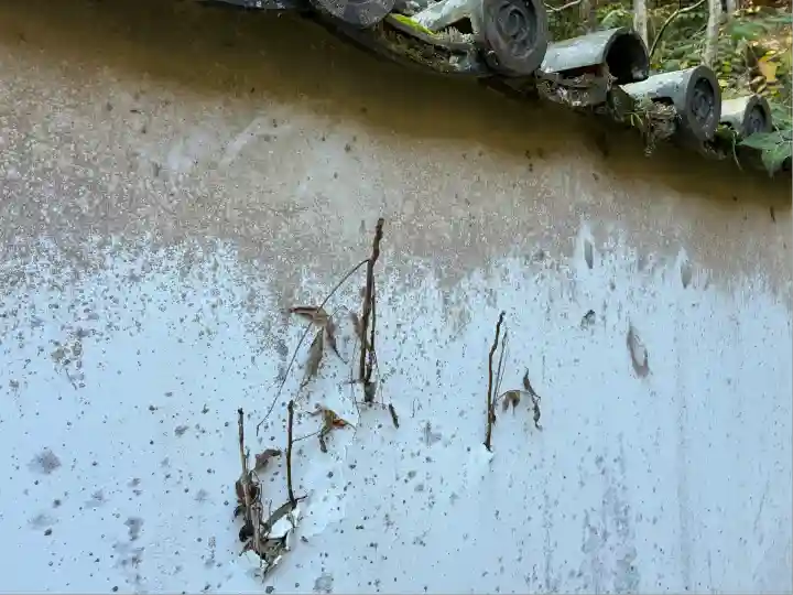 龍野神社(兵庫県)