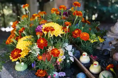滑川神社 - 仕事と子どもの守り神の手水舎