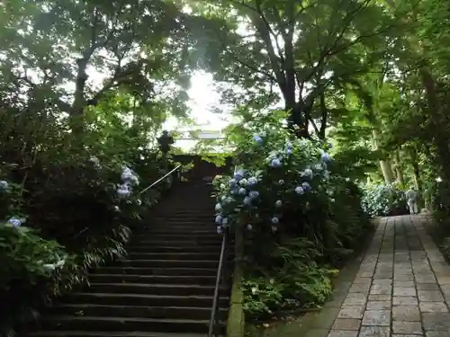 妙本寺のその他建物