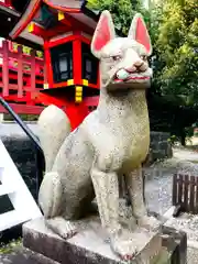 箱崎八幡神社の狛犬