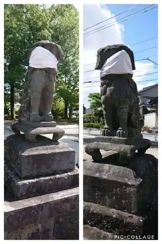 新川神社の狛犬