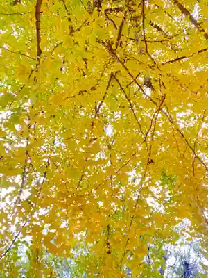 三栖神社(京都府)
