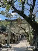 春日神社の鳥居