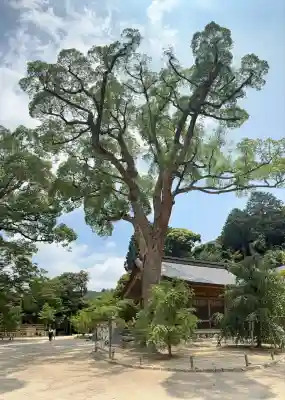 宝満宮竈門神社(福岡県)