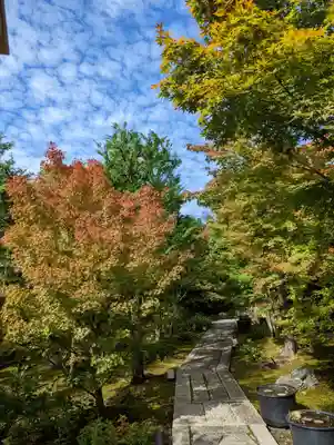 勝林寺(京都府)