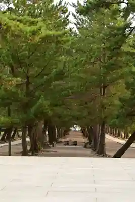 出雲大社(島根県)