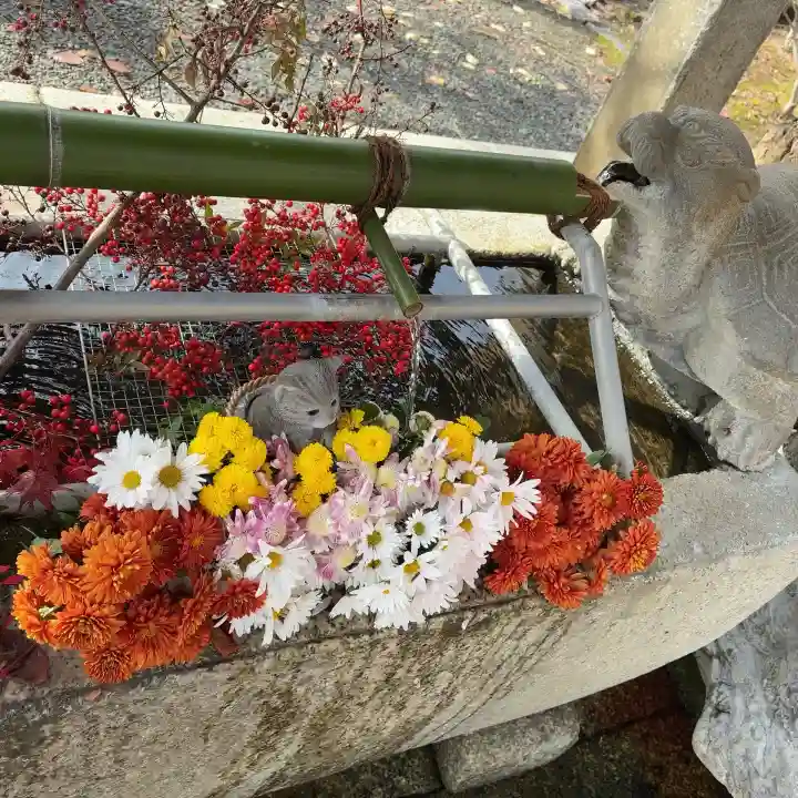 意冨布良神社(滋賀県)