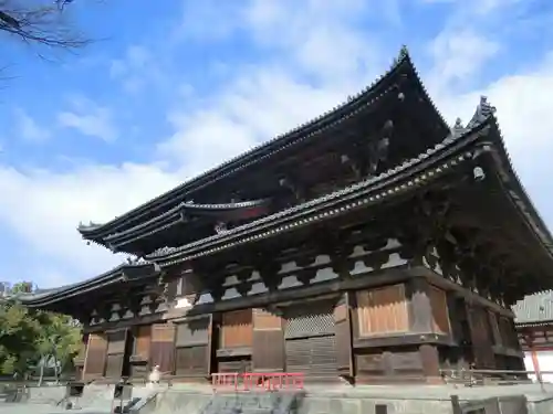 東寺（教王護国寺）(京都府)