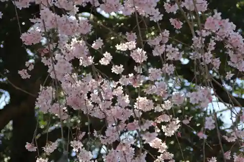 円通寺の庭園