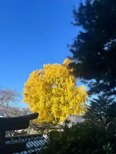 丹生酒殿神社(和歌山県)