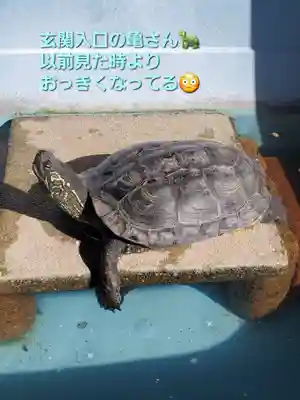 天性寺(福島県)