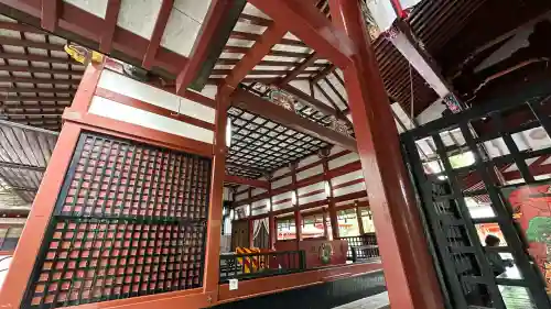 鹿児島神宮(鹿児島県)