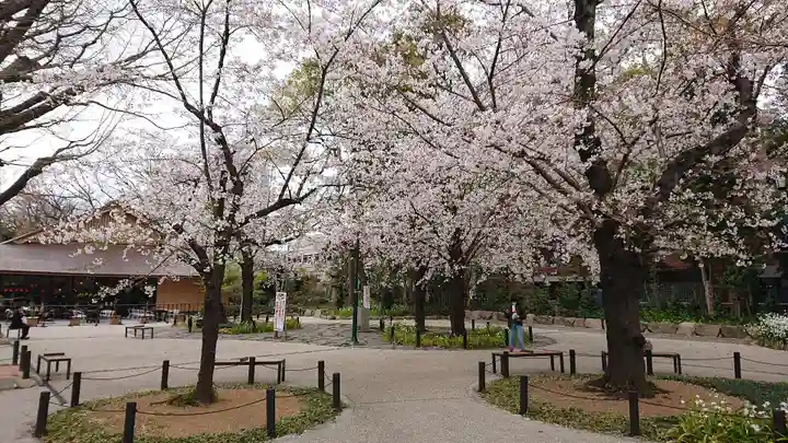 靖國神社の自然