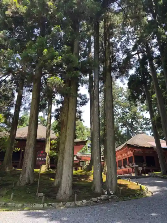 延暦寺釈迦堂(滋賀県)