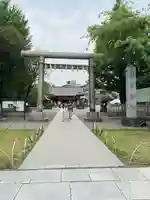 浅草神社の鳥居
