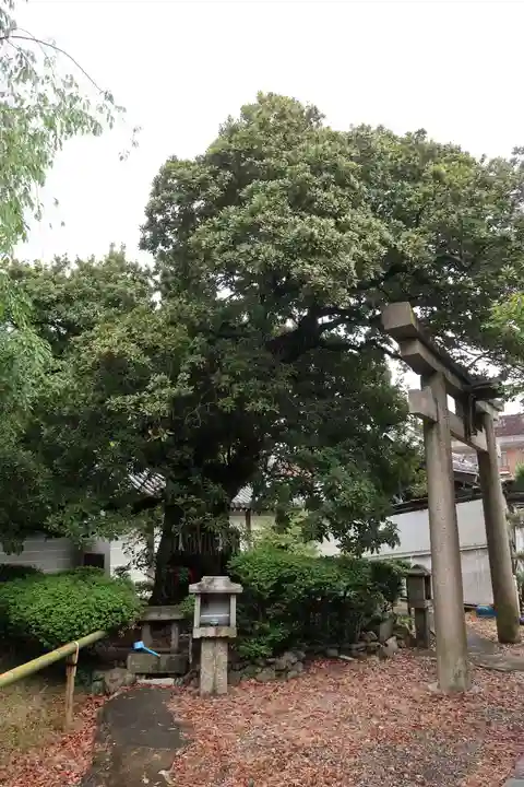 養源院(京都府)
