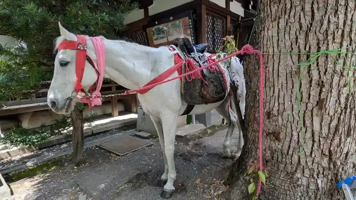 熊野神社(京都府)