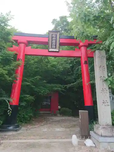 稲荷神社（柏井稲荷社）の鳥居