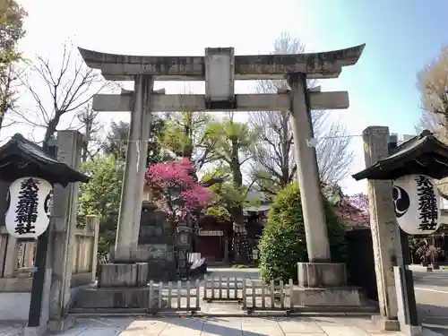 素盞雄神社の鳥居