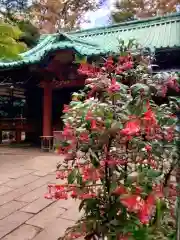 赤坂氷川神社(東京都)