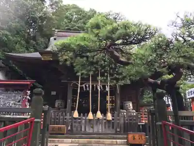 日吉神社の本殿・本堂