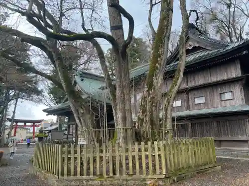 小室浅間神社(山梨県)