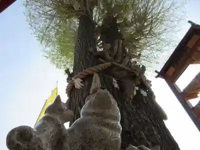 川越八幡宮のその他建物