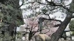 本法寺の自然