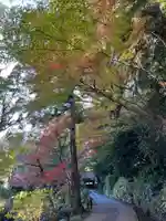 天台宗 長窪山 正覚寺の自然