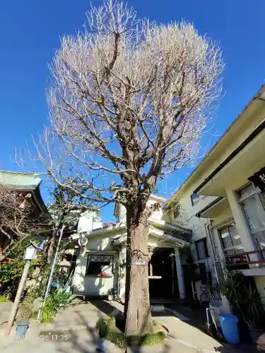 千住本氷川神社(東京都)