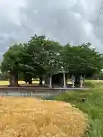 菊徳大年神社(兵庫県)