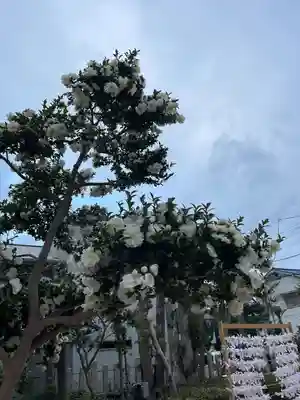 須左男神社(兵庫県)