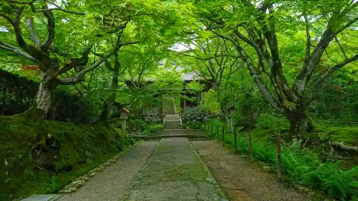 常寂光寺(京都府)