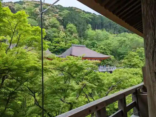 清水寺(京都府)