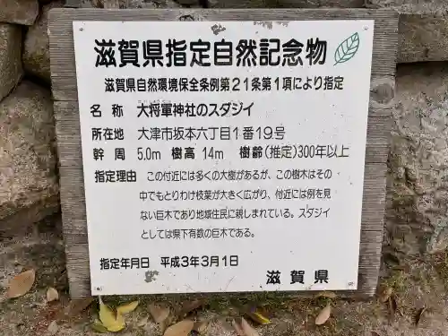 大将軍神社の{uncategorized: "未分類", other: "その他", undefined: "問題あり", building: "その他建物", grave: "お墓", sacred_gate: "鳥居", guardian: "狛犬", statue: "像", buddha: "仏像", history: "歴史", nature: "自然", garden: "庭園", animal: "動物", pagoda: "塔", temizu: "手水舎", mountain_gate: "山門・神門", sanctuary: "本殿・本堂", subordinate: "末社・摂社", art: "芸術", scenery: "景色", jizo: "地蔵", ema: "絵馬", goshuin: "御朱印", omikuji: "おみくじ", items: "授与品その他", amulet: "お守り", goshuincho: "御朱印帳", eats: "食事", festival: "お祭り", votive_dance: "神楽", shichigosan: "七五三参", wedding: "結婚式", experience: "体験その他", initially: "初詣", around: "周辺", anti_infection: "感染症対策"}