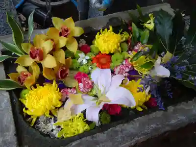 菊名神社の手水舎