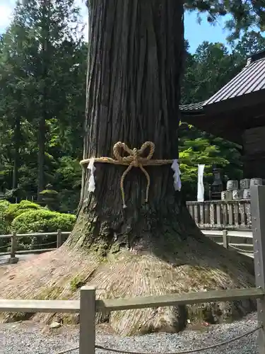 北口本宮冨士浅間神社のその他建物