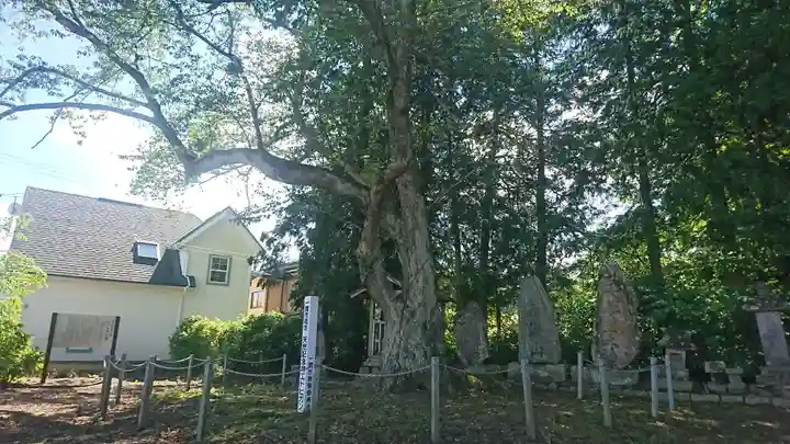 温泉神社(岩手県)