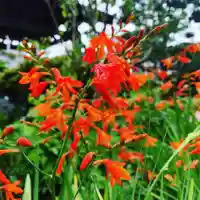 豊景神社の自然