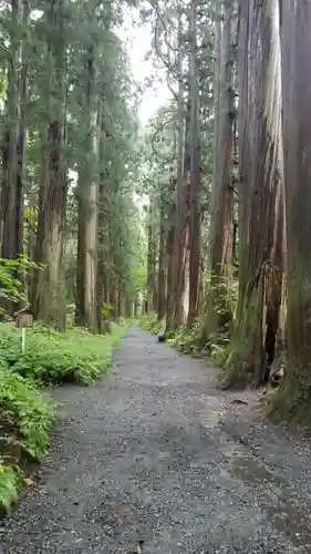 戸隠神社奥社の庭園