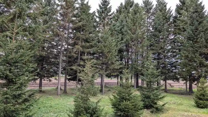 協和神社の自然