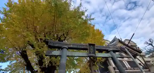 湯島天満宮の鳥居
