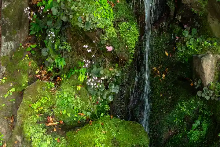 諏訪大社(長野県)