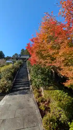 善峯寺奥之院　薬師堂(京都府)