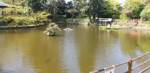 越ヶ谷久伊豆神社の庭園